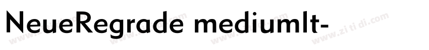 NeueRegrade mediumlt字体转换